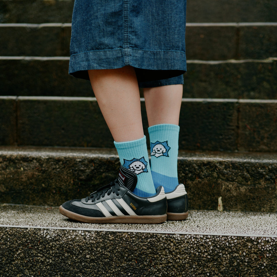 "matsui DOGS" Socks (Aqua & Blue)