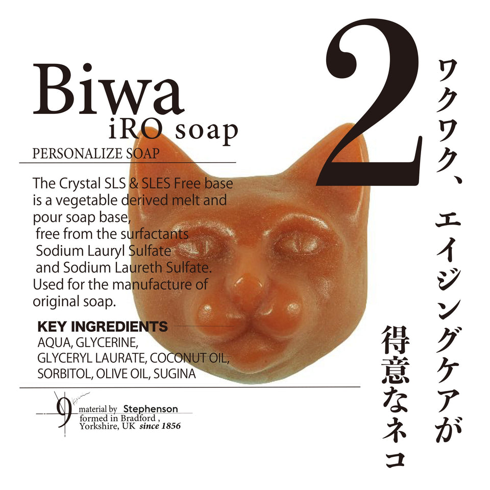 No.2 Hakoirineko Biwa