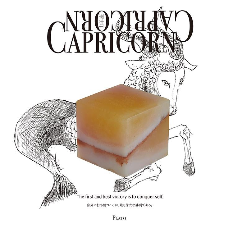 Cosmic Cube - Capricorn